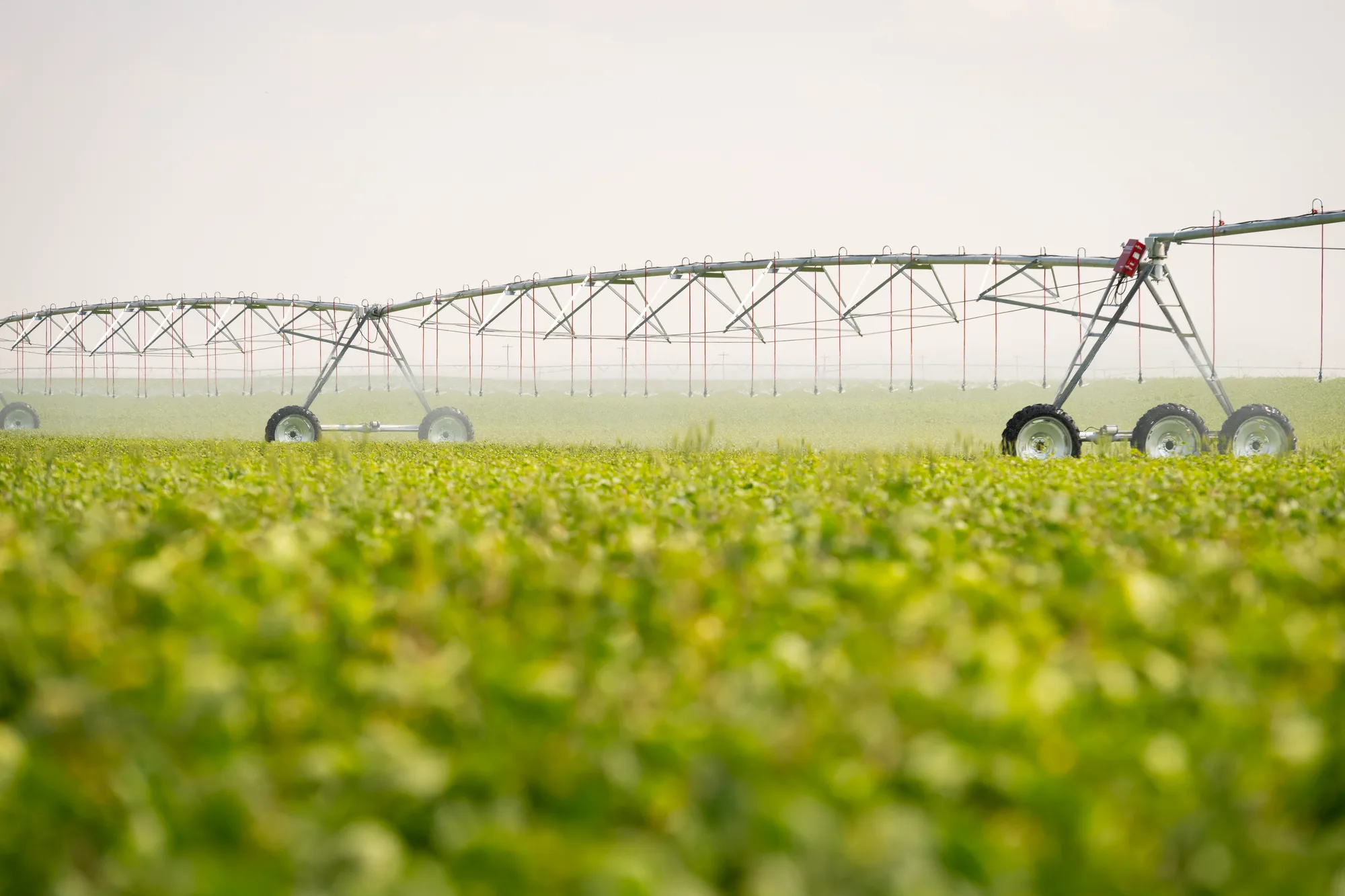 Agriculture & Irrigation